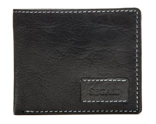 Pánská kožená peněženka 21031 černá