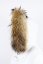Kožušinový lem na kapucňu - golier medvedíkovec béžová M 01/7 (63 cm) 1