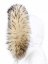 Fur trim on the hood - raccoon collar M 155/19 (65 cm) 2