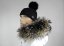 Kožušinový lem na kapucňu - golier medvedíkovec 35 (75 cm)