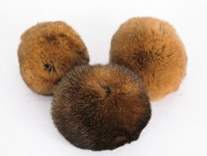 Kožešinová bambule králík Kastorex 2