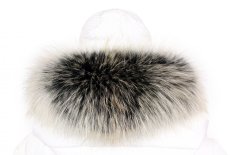 Kožušinový lem na kapucňu - golier medvedíkovec arctic snowtop M 31/24 (52 cm) 1 Kožušinový lem na kapucňu - golier medvedíkovec arctic snowtop M 31/24 (52 cm) 1