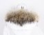 Kožušinový lem na kapucňu - golier medvedíkovec M 44/1 (60 cm) 2