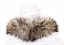 Kožušinový lem na kapucňu - golier medvedíkovec M 155/22 (60 cm) 3