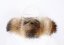 Kožešinový lem na kapuci - límec mývalovec snowtop M 35/8 (80 cm)