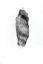 Kožušinový chvost líška bluefrost OCL 19