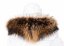 Fur trim on the hood - raccoon collar, snowtop highlights, brown - beige M 33/12 (70 cm) 2