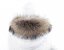 Kožešinový lem na kapuci - límec mývalovec 42/1 (75 cm)