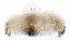 Kožušinový lem na kapucňu - golier medvedíkovec M 45/35 (70 cm)