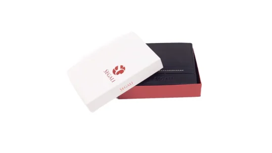 Pánská kožená peněženka 21042 černá