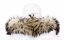 Kožušinový lem na kapucňu - golier medvedíkovec M 155/21 (65 cm) 3