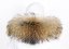 Fur trim on the hood - raccoon collar M 42/5 (65 cm) 2