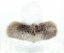 Kožešinový lem na kapuci - límec liška snowtop mocca - bílá L 17/3 (72 cm)