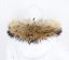 Kožušinový lem na kapucňu - golier medvedíkovec béžová M 01/6 (65 cm)