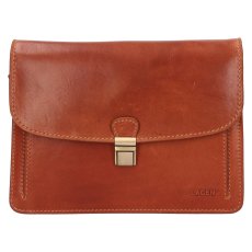 Pánska kožená etue (dokladovka) BLC-223/2596 koňak