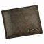 Pánská kožená peněženka Pierre Cardin TILAK50 28805 RFID hnědá