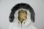 Kožušinový lem na kapucňu - golier medvedíkovec 32/4 snoutop (75 cm)