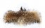 Fur trim on the hood - raccoon collar M 01/30 (65 cm) 1