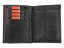 Pánská kožená peněženka Pierre Cardin TILAK06 2331
