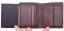 Pánská kožená peněženka W-281042 hnědá/TAN