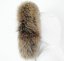 Kožušinový lem na kapucňu - golier medvedíkovec  M 35/24 (70 cm) 1