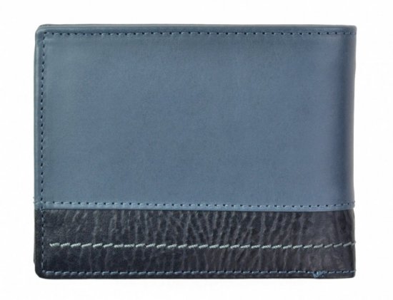 Pánska kožená peňaženka 2951320005WL modrá/modrá 1