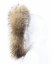 Fur trim on the hood - raccoon collar M 44/30 (78 cm) 2